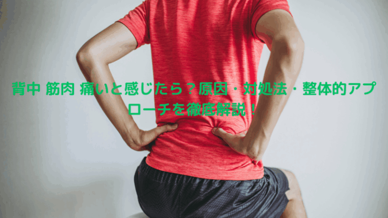 背中 筋肉 痛いと感じたら？原因・対処法・整体的アプローチを徹底解説！