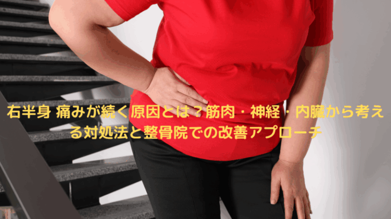右半身 痛みが続く原因とは？筋肉・神経・内臓から考える対処法と整骨院での改善アプローチ