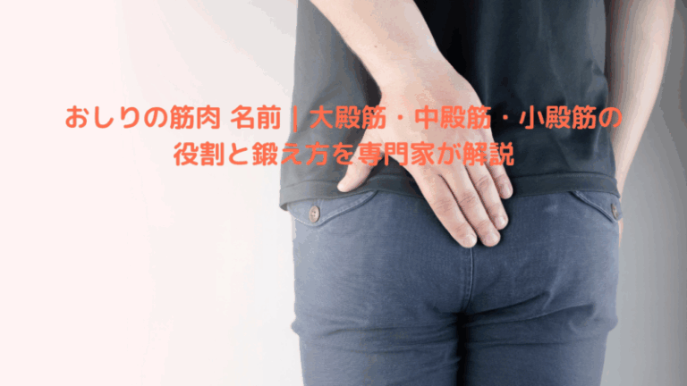 おしりの筋肉 名前｜大殿筋・中殿筋・小殿筋の役割と鍛え方を専門家が解説