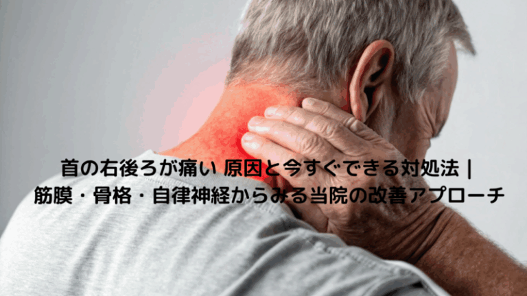 首の右後ろが痛い 原因と今すぐできる対処法｜筋膜・骨格・自律神経からみる当院の改善アプローチ