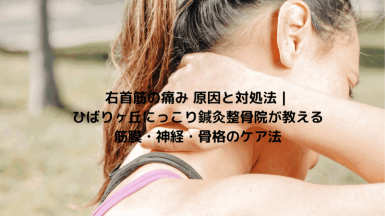 右首筋の痛み 原因と対処法｜ひばりヶ丘にっこり鍼灸整骨院が教える筋膜・神経・骨格のケア法